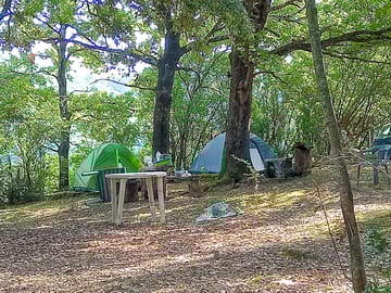 Shaded pitches in the forest