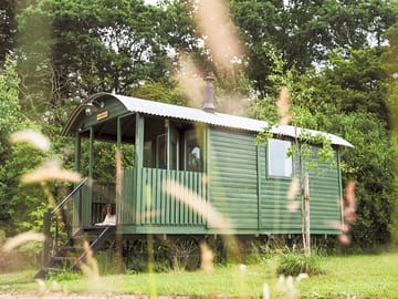 Woodpecker shepherds hut