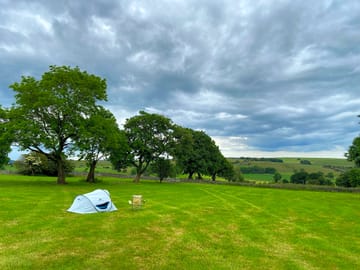 Grassy pitches