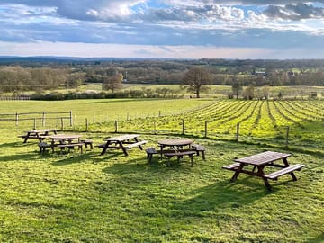 Picnic benches overlooking the fledgling christmas tree plantation and beyond