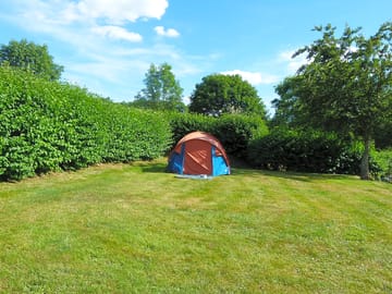 Pitches sheltered by hedges