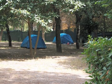 The tent field