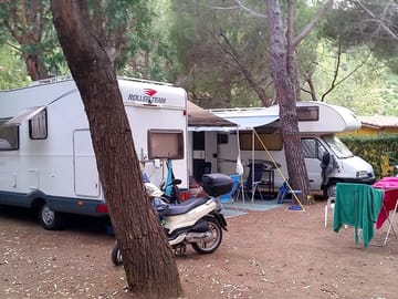 Pitches among the trees