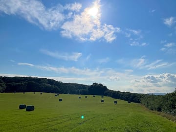 Field view
