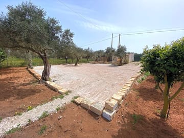 Pitch