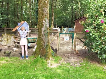 Meeting the farm animals