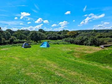 Tent area