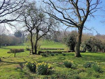Grassy pitches
