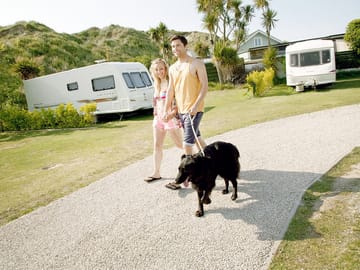 Dog friendly site