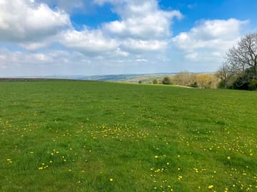 The grassy pitches