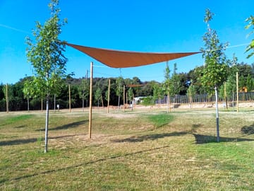 Grassy pitches