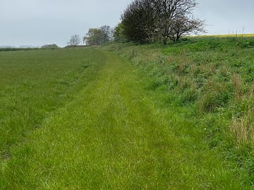 Around the site