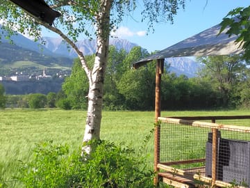 Campsite in summer