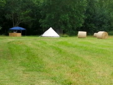 Spacious field