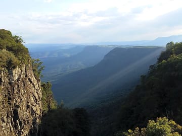 The view