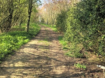 Access through the woods