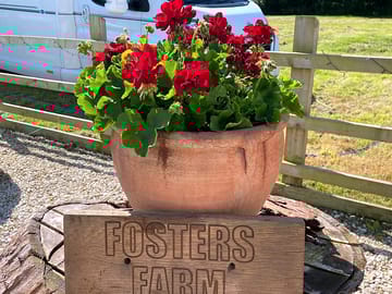 Welcome to fosters farm