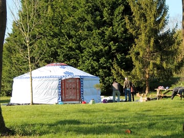 Trees all around the yurt