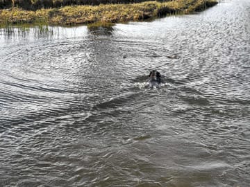 River next to the site