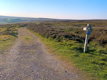 One of the nearby bridleways