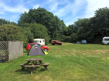 Enjoy quite place and watch birds and rabbits run around