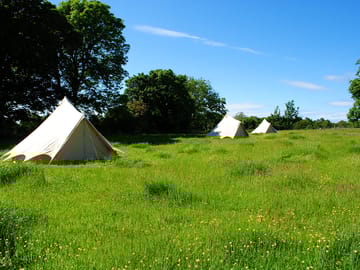 Bell tents in the wildflower meadow