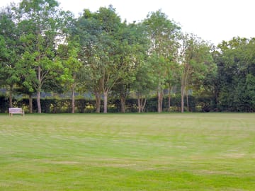 The meadow