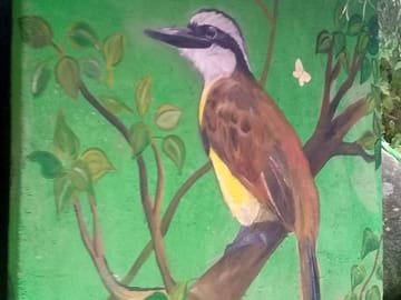 Colourful paintings on site