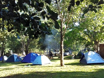 Plenty of shade under the trees