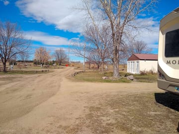 Road through the park