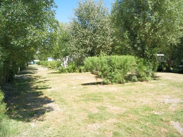 Sunny pitch