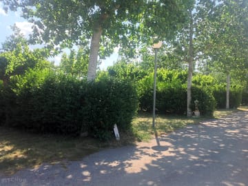 Shaded pitch, delimited by hedges