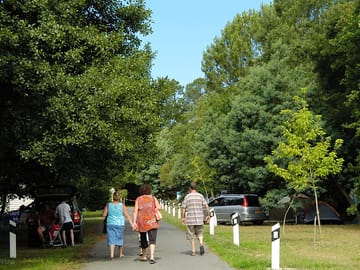 Walks around site