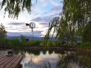 There's plenty of comfy seating around our fishing pond.