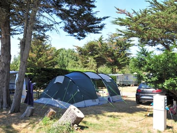 Pitch your tent under a tree for some shade