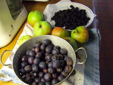 There is lots of wild food to forage around the site too and we can help you to find and eat it safe