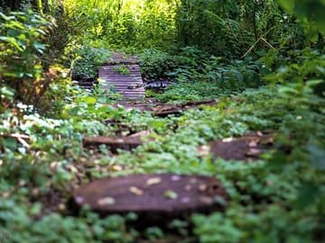The enchanted garden
