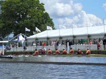 Rowing action all week at the regatta