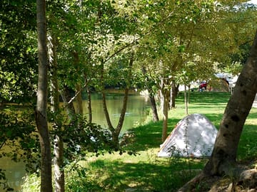 Woodlands