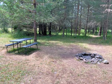 Trees surrounding a pitch