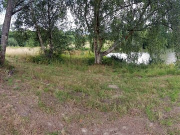 By the pond