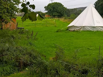 Quiet woodland setting