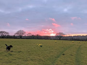 The field