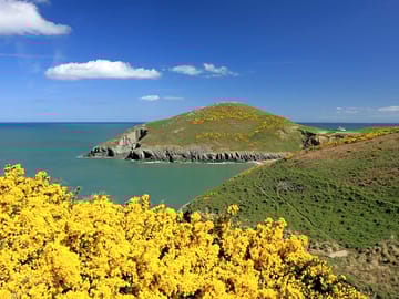 Cardigan bay