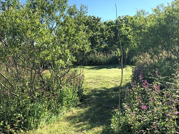 Around the site