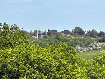 View of windmill from the site