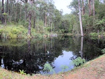 Spring-fed dam