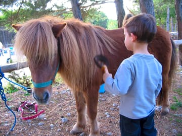 Riding centre next door to the site