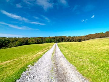 Walks around the area