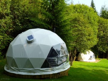Domes among the trees
